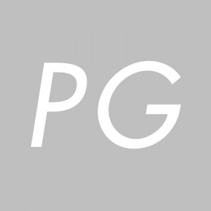 patentgrau_logo